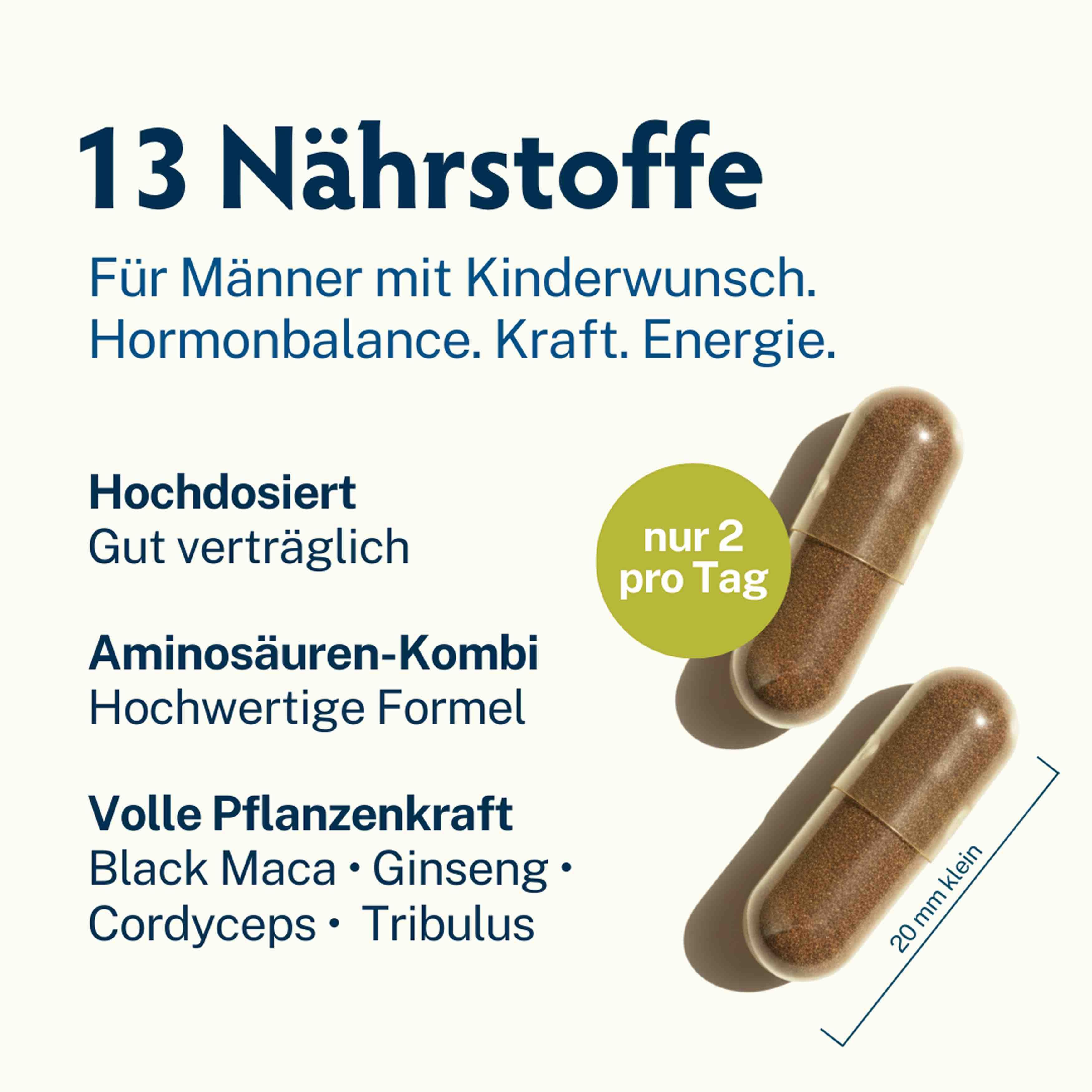 Zwei braune Kapseln. Text: "13 Nährstoffe", "nur 2 pro Tag". Maße: 20 mm. Text über Inhaltsstoffe wie Black Maca und Ginseng.