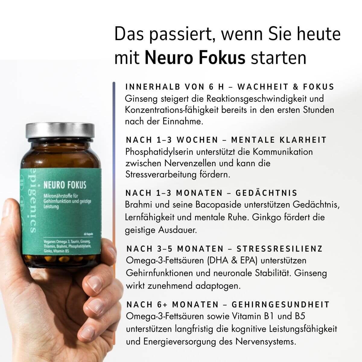 epigenics® Neuro Fokus - Nährstoffkomplex für mentale Performance und Unterstützung der Gehirngesund