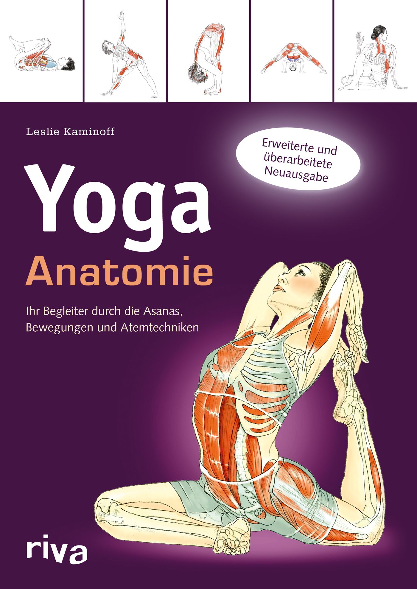 Buchcover Yoga-Anatomie. Titel in Großbuchstaben. Abbildung einer Frau in Yoga-Pose mit anatomischer Darstellung. Riva-Logo.