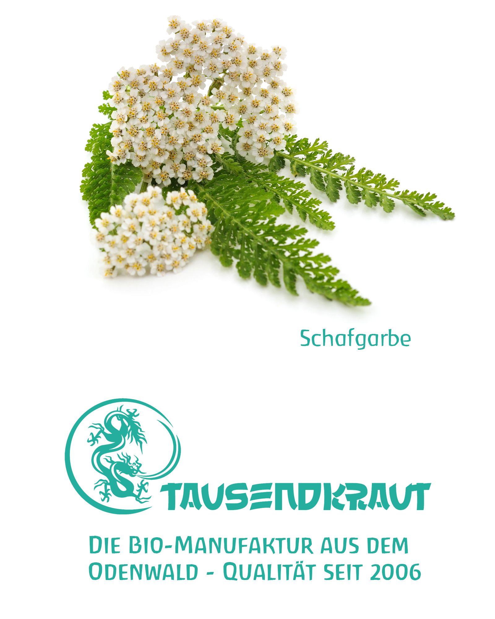 Nahaufnahme von Schafgarbenblüten und -blättern. Darunter Text: Schafgarbe. Logo und Text: Tausendkraut. Die Bio-Manufaktur aus dem Odenwald - Qualität seit 2006.