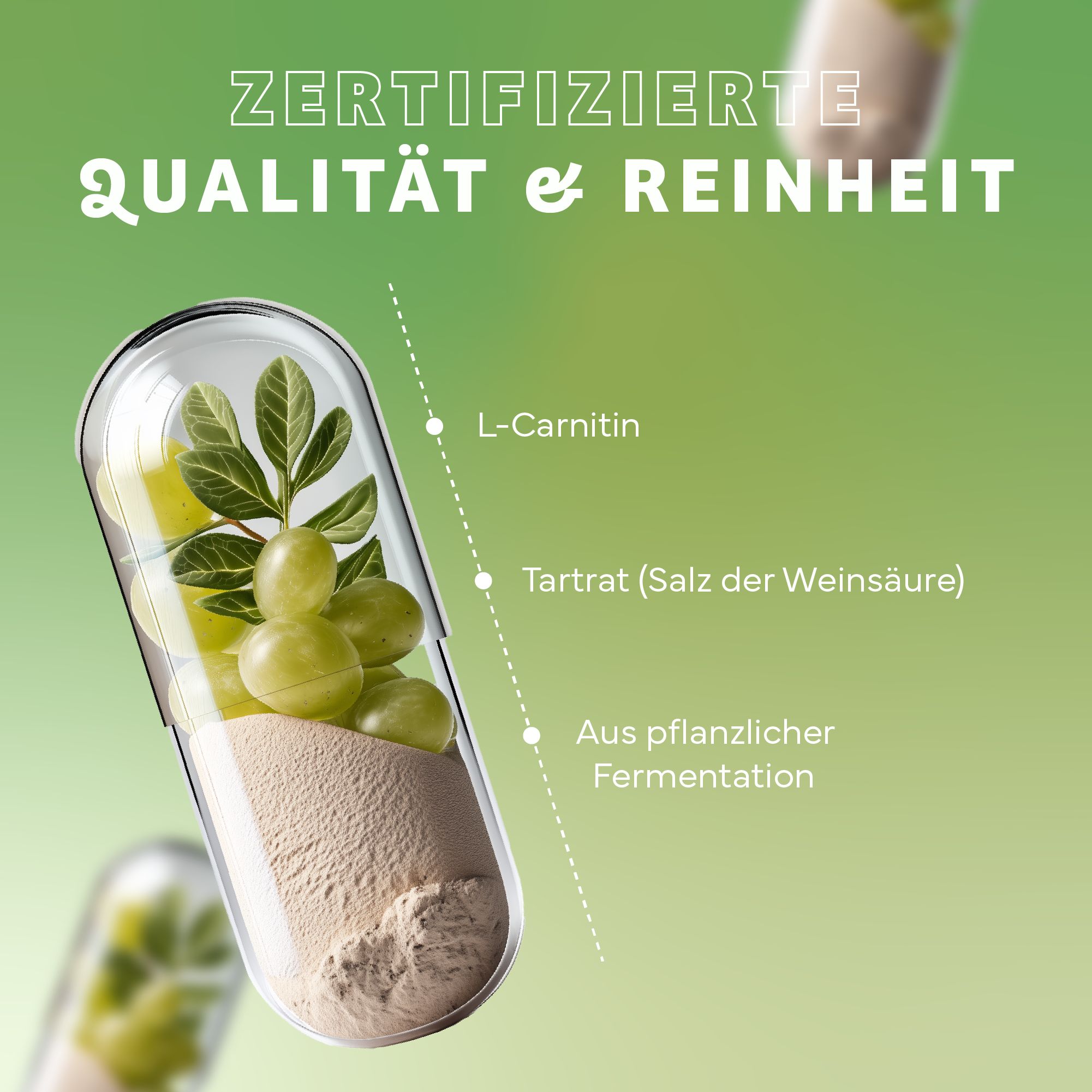 Kapsel mit L-Carnitin, Traubenkernen und Pulver. Text: Zertifizierte Qualität & Reinheit. L-Carnitin, Tartrat (Salz der Weinsäure), aus pflanzlicher Fermentation.