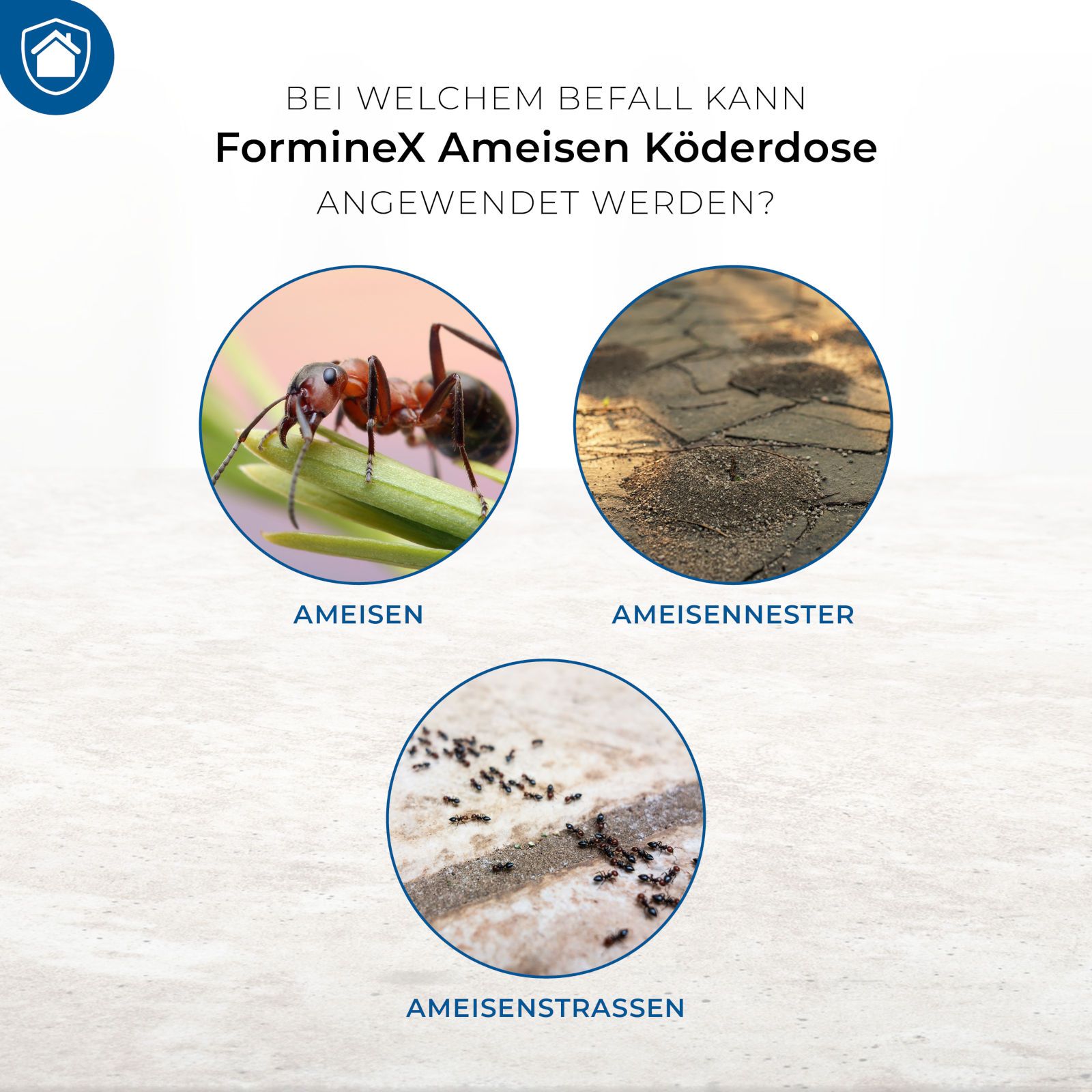 Protect Home FormineX Ameisen Köderdose
