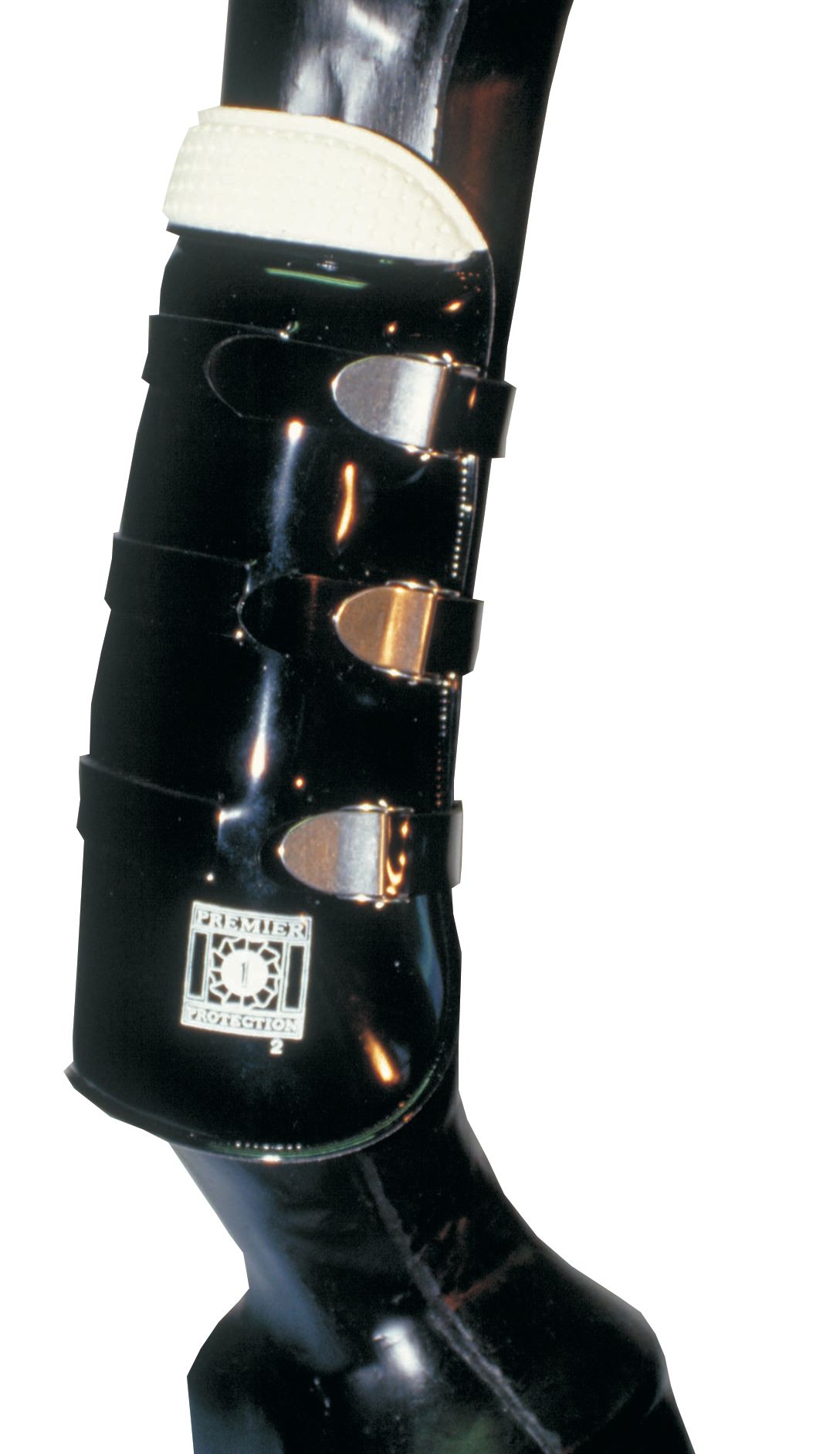 Schwarze Gamasche Universal Sehnenschoner Universal an Pferdebein. Drei Riemen mit Schnallen. Logo.
