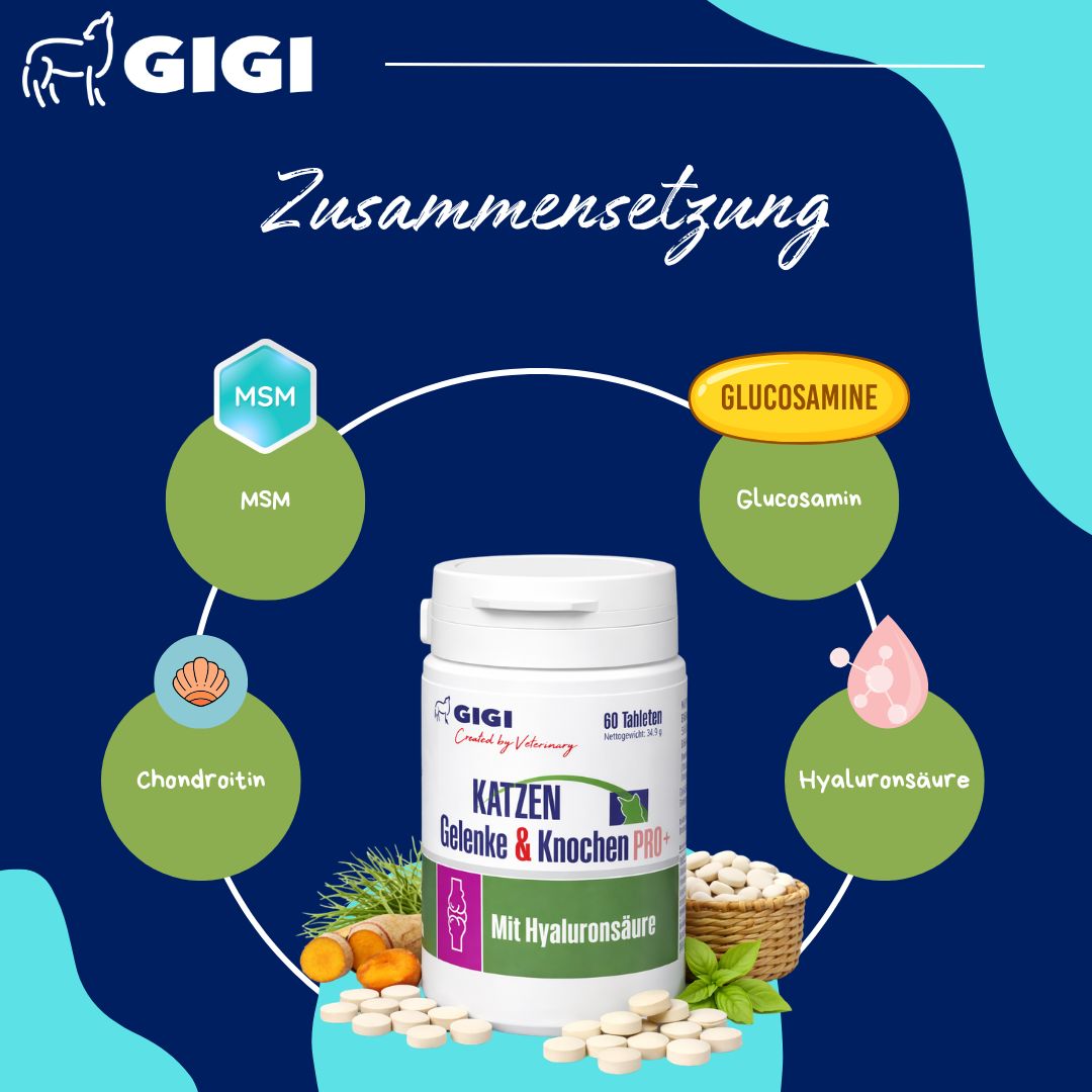 Zusammensetzung der Tabletten für Katzen. Inhaltsstoffe: MSM, Glucosamin, Chondroitin, Hyaluronsäure. Weiße Tabletten.