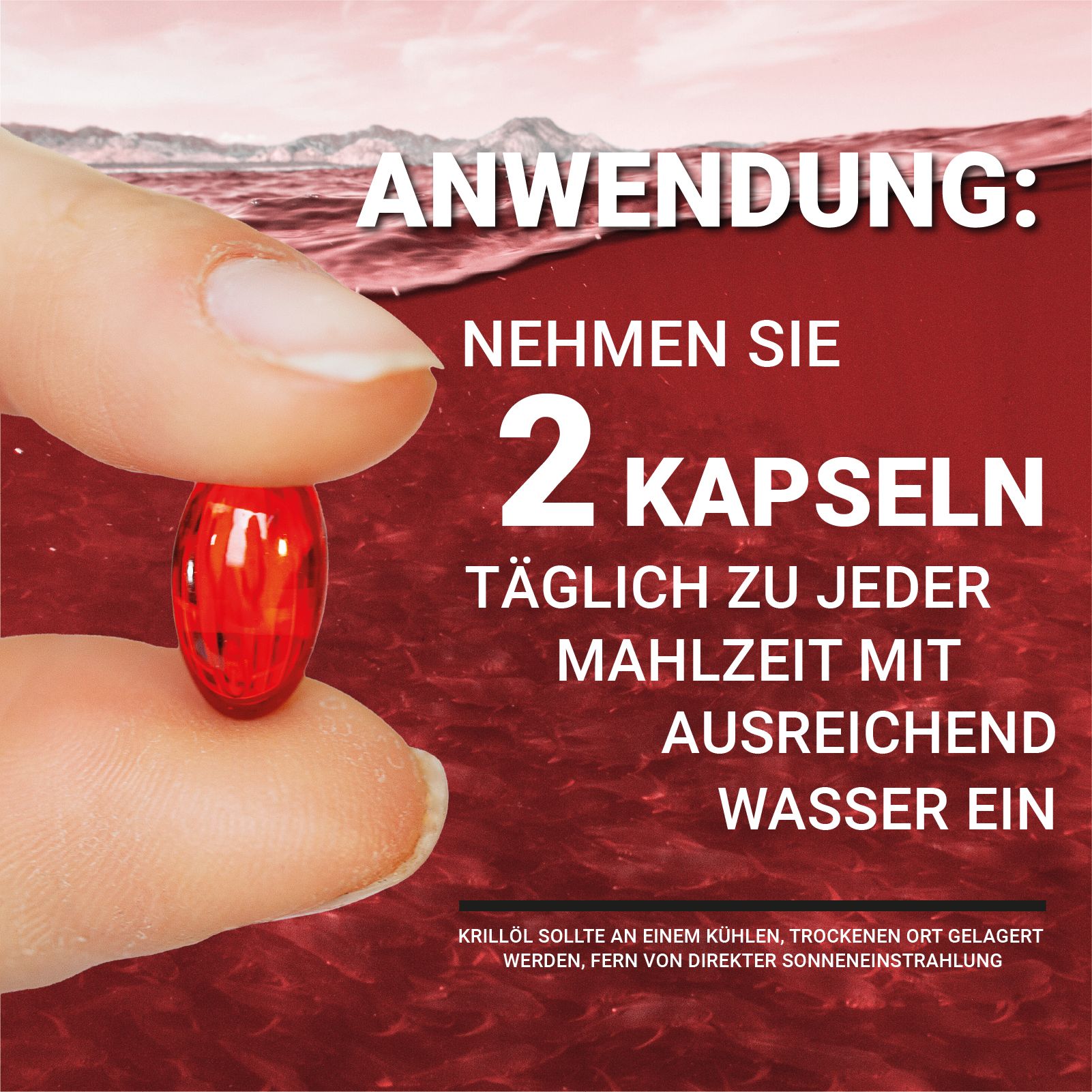 Rote Kapsel zwischen Fingern. Text: Anwendung: Nehmen Sie 2 Kapseln täglich zu jeder Mahlzeit mit ausreichend Wasser ein.