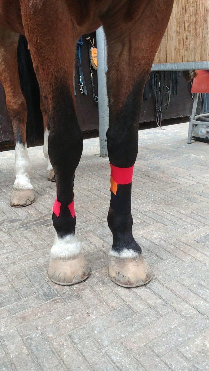 VetkinTape 10cm Rot, Kinesiotape für Pferde u.a. Tiere