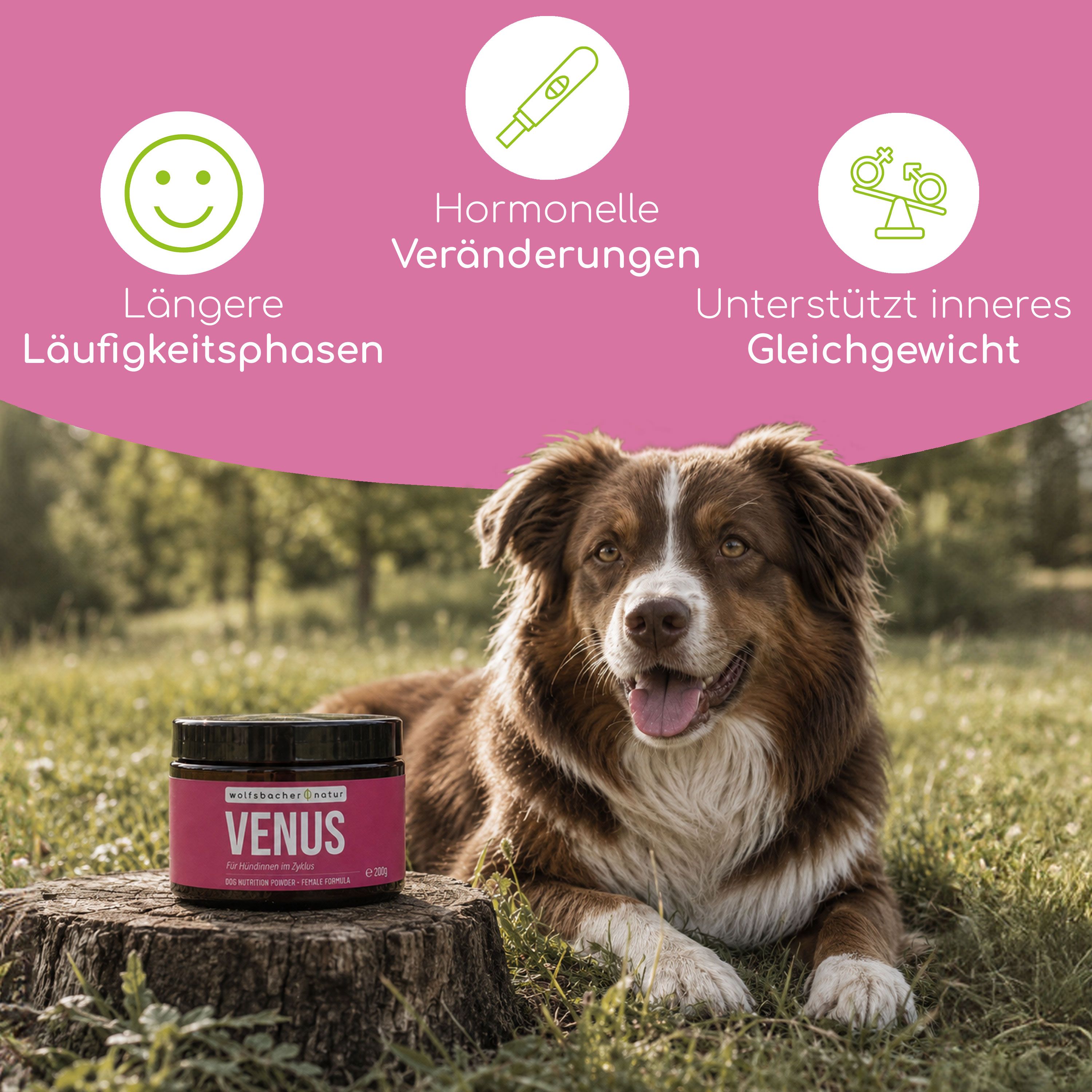 Wolfsbacher Natur Venus Pulver neben einem Hund, mit Icons für hormonelle Veränderungen und Gleichgewicht.