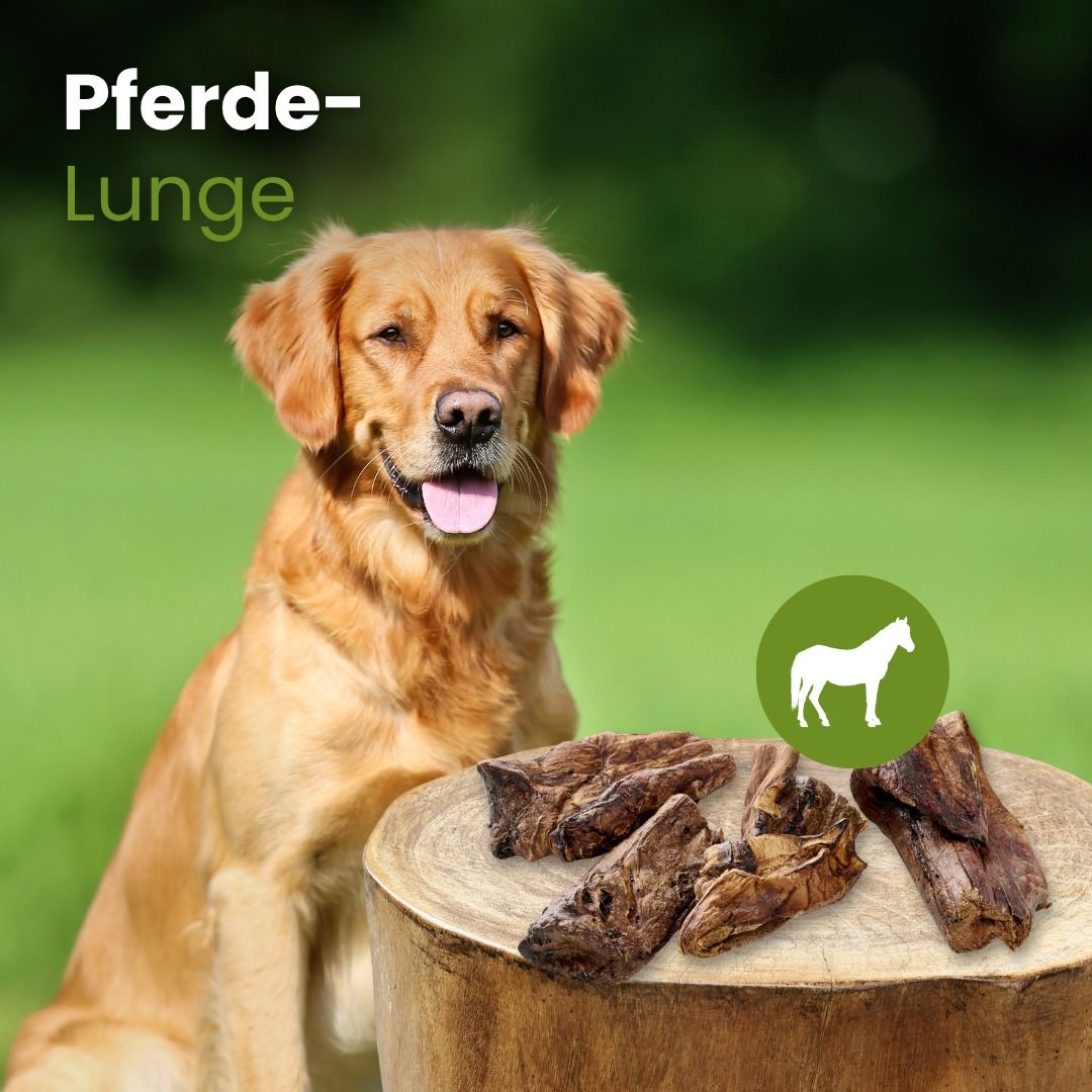 Getrocknete Pferdelunge, 100% Pferd, hoher Proteingehalt, hypoallergen.
