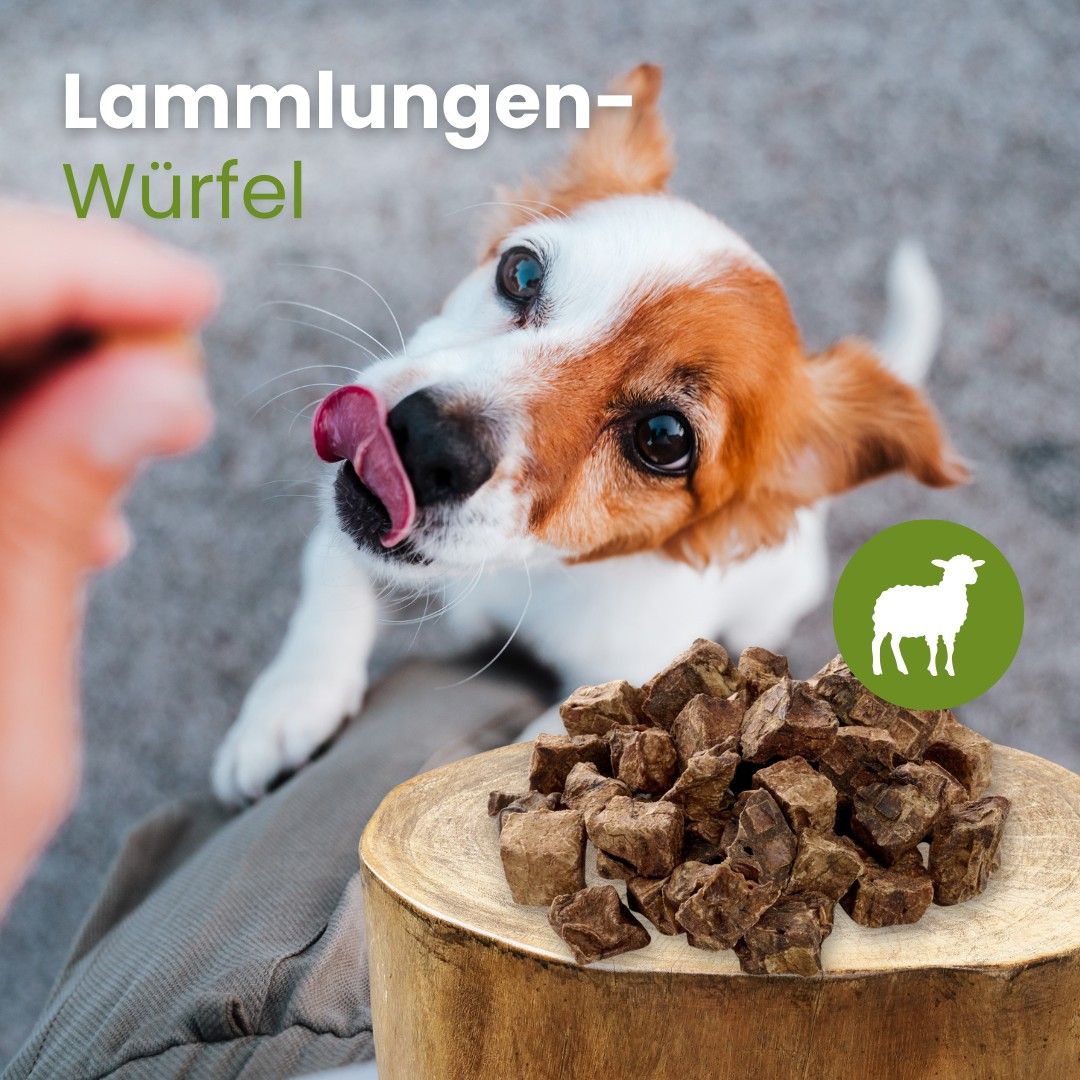 Hundefutter: Lamm Lungenwürfel, ca. 1-3 cm groß. Geringer Fettgehalt.