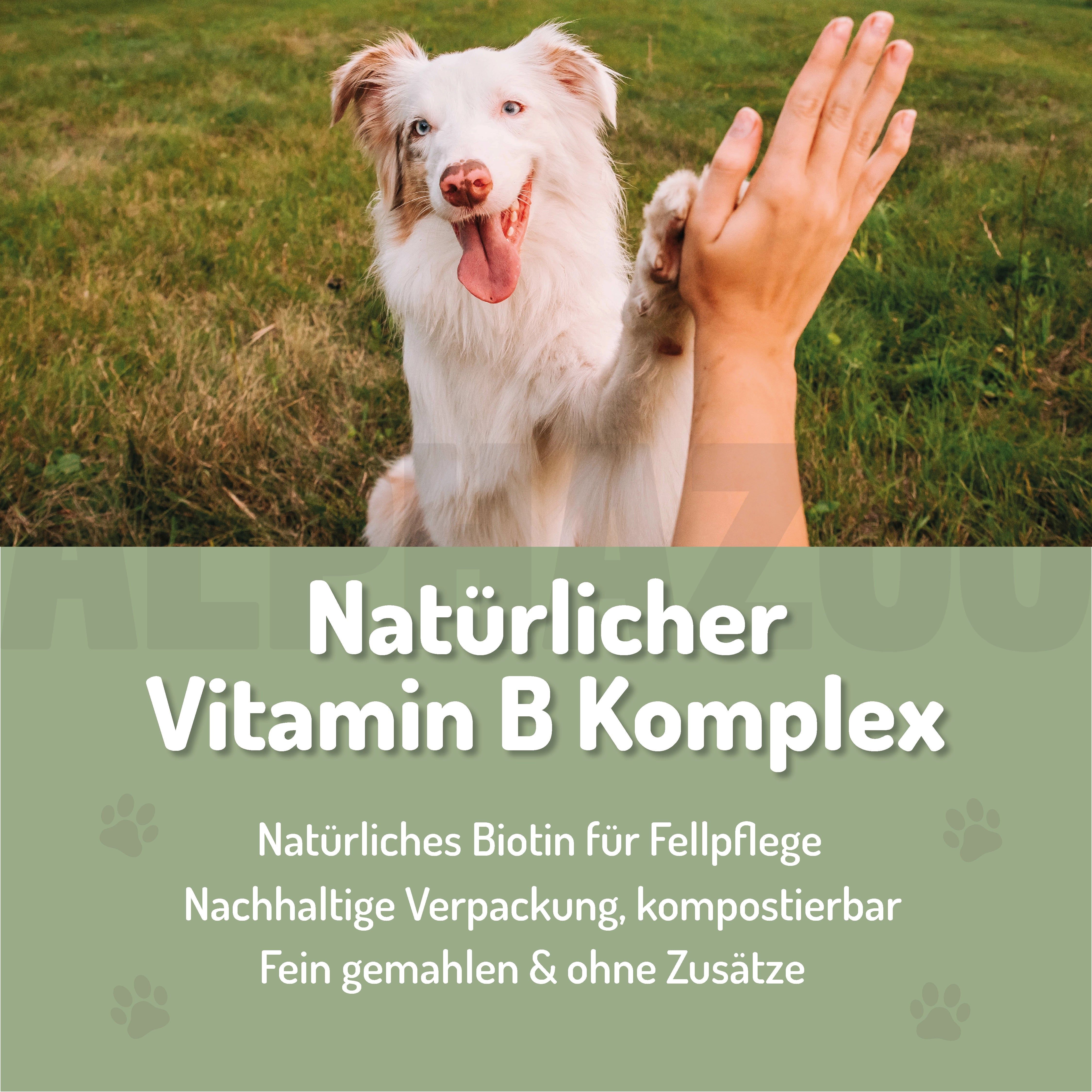 Weißer Hund gibt Pfote. Text: Natürlicher Vitamin B Komplex. Natürliches Biotin für Fellpflege. Nachhaltige Verpackung, kompostierbar. Fein gemahlen & ohne Zusätze.