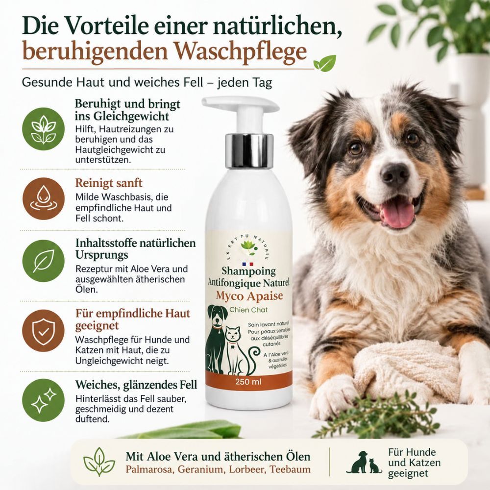 Flasche mit 250ml Hundeshampoo, natürliche Inhaltsstoffe, mit Aloe Vera und ätherischen Ölen.