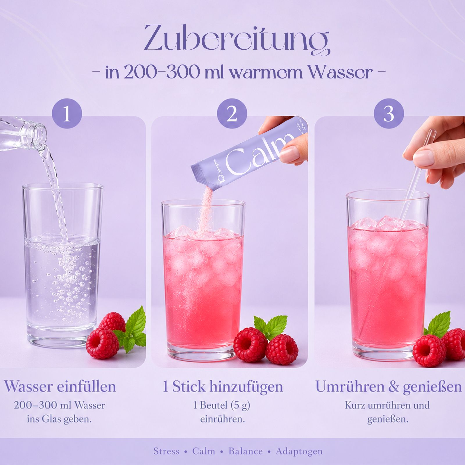 Zehnplus Cortisol Balance Pulver