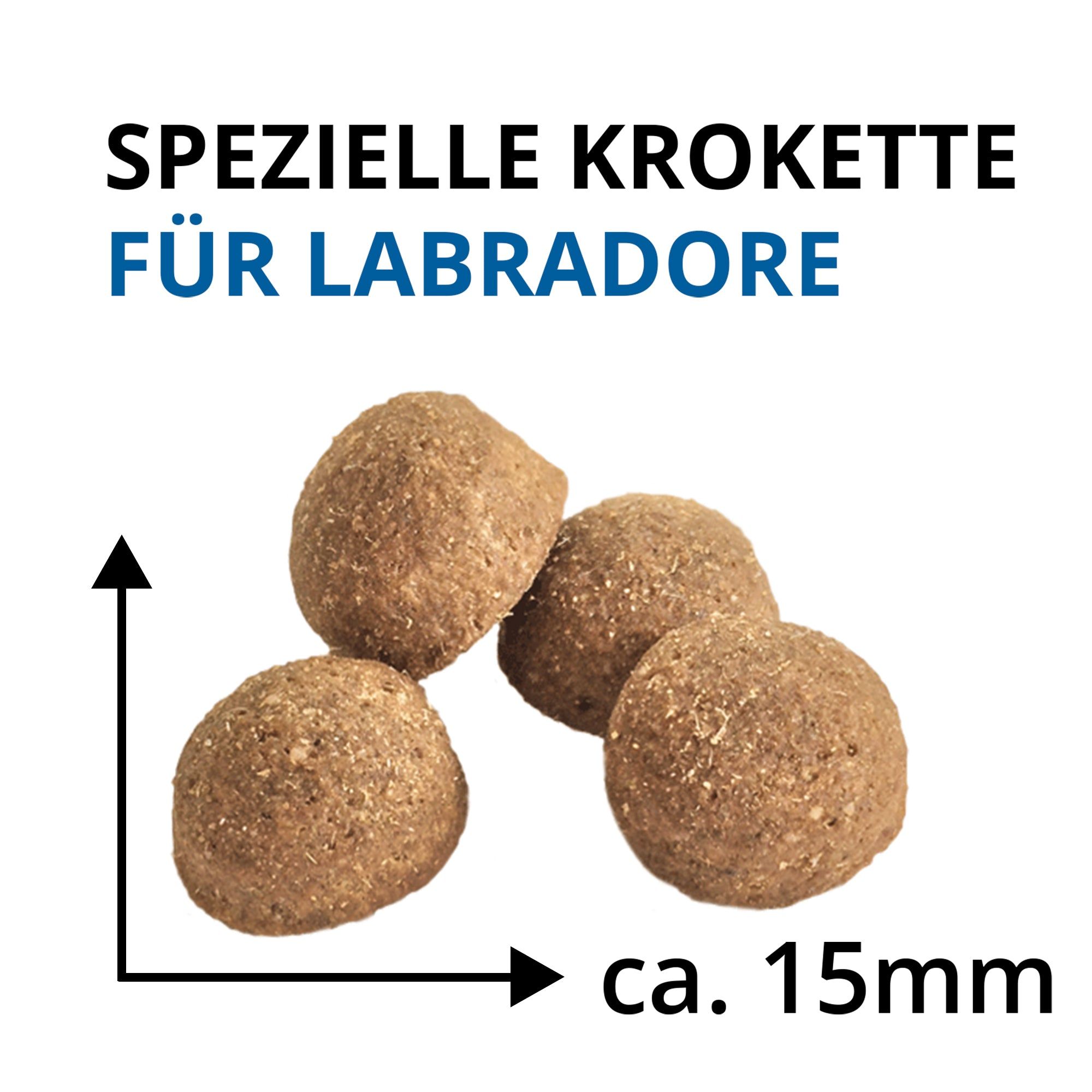 Spezielle Kroketten für Labrador Retriever Hundefutter, ca. 15mm Durchmesser.