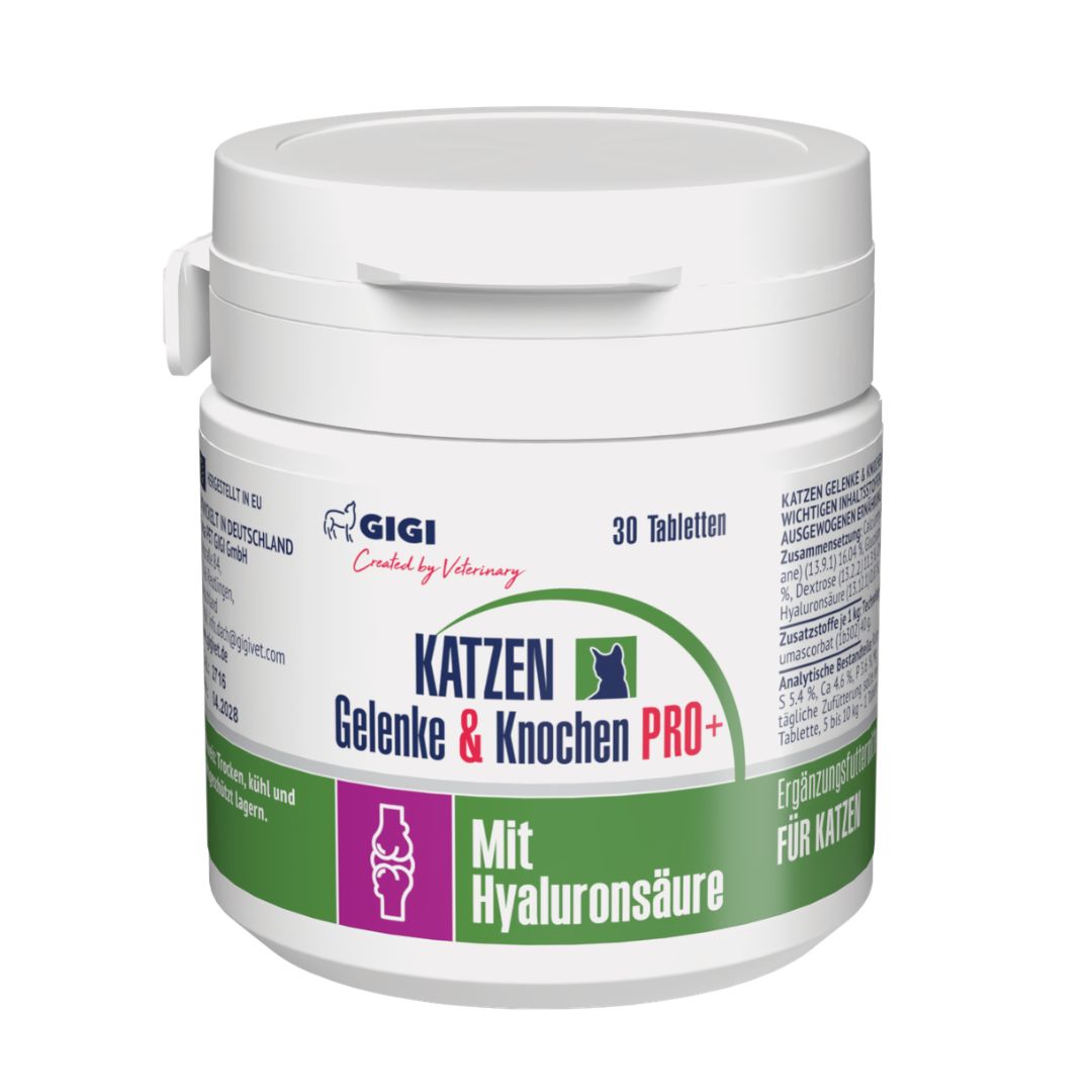 Gigi VET Katzen Gelenke & Knochen Pro+ Gelenktabletten mit Hyaluronsäure | Vitalität Kraft 30 St Tabletten