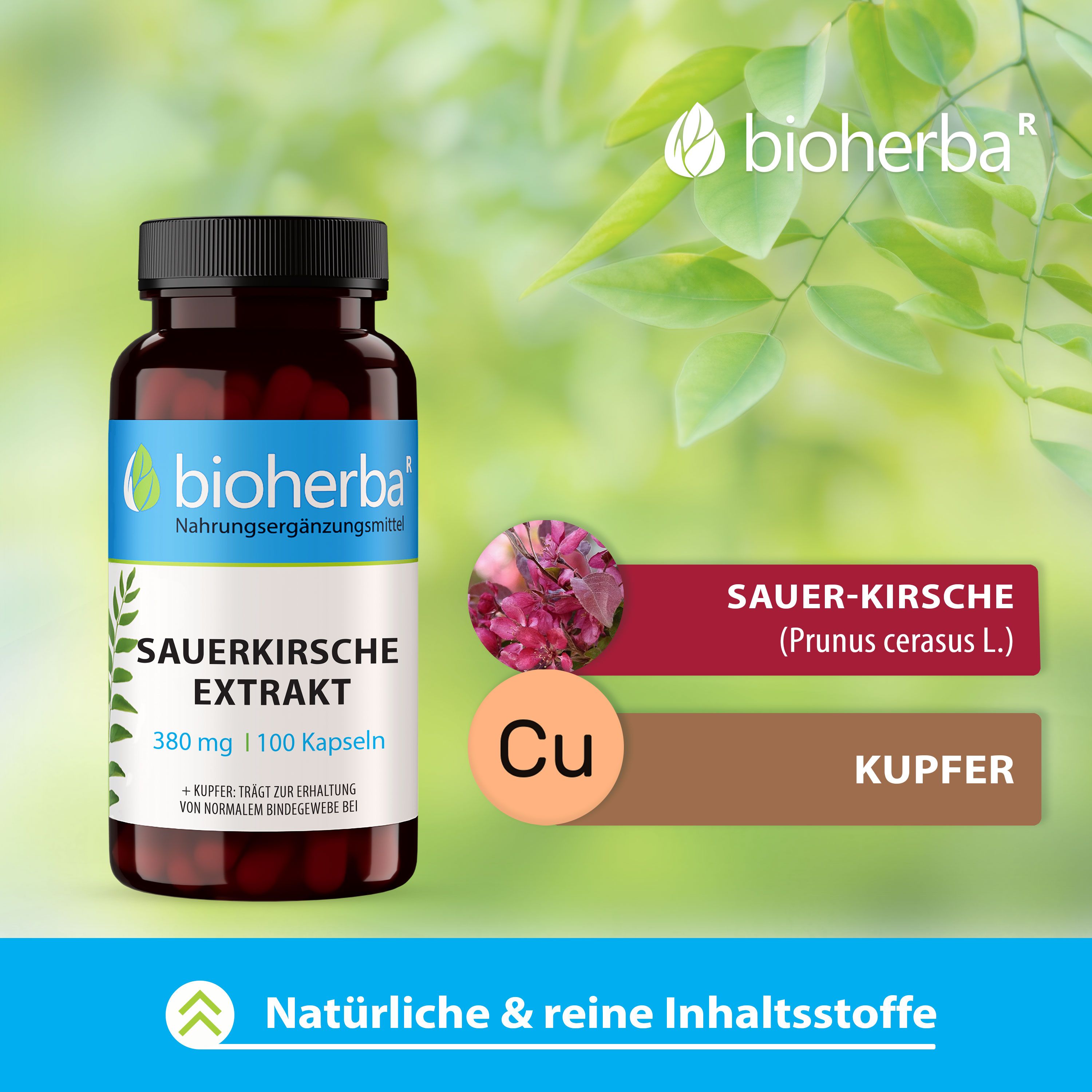 Bioherba Sauerkirsche Extrakt Kapseln