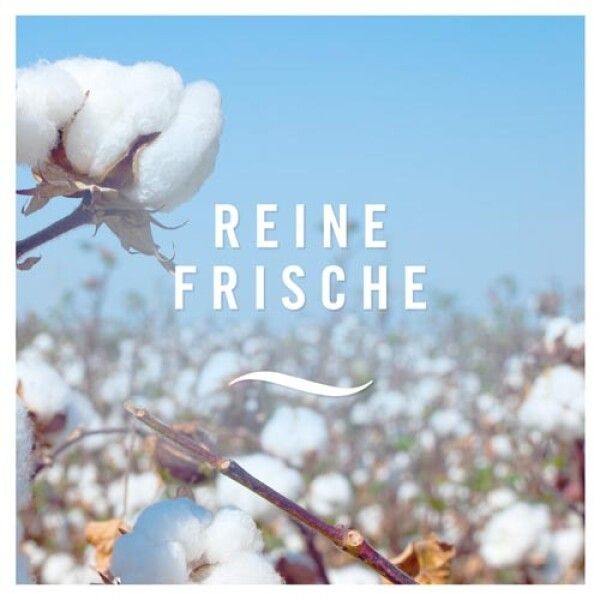 Febreze Textilerfrischer Reine Frische