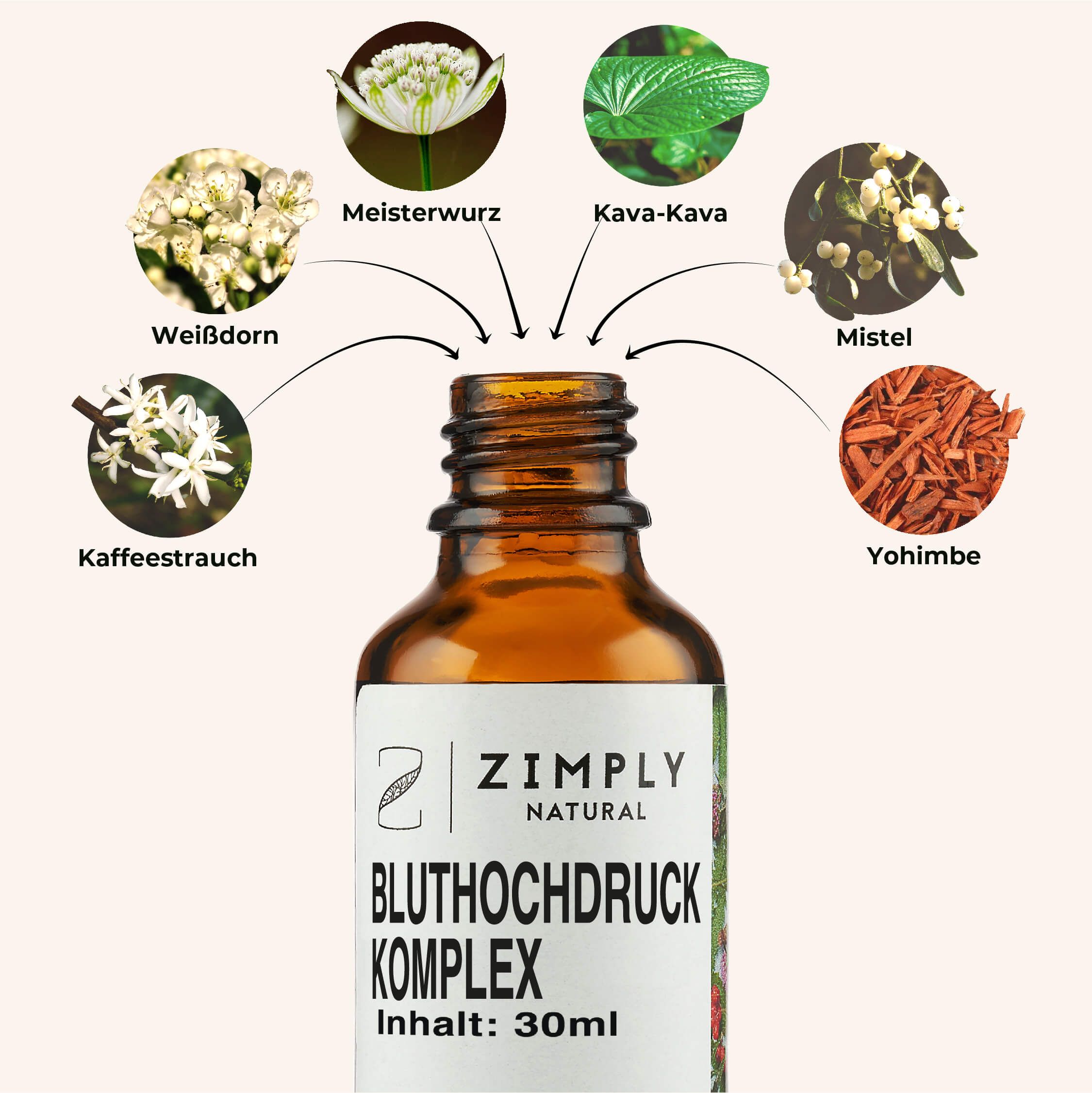 ZIMPLY NATURAL Bluthochdruck Komplex Spray