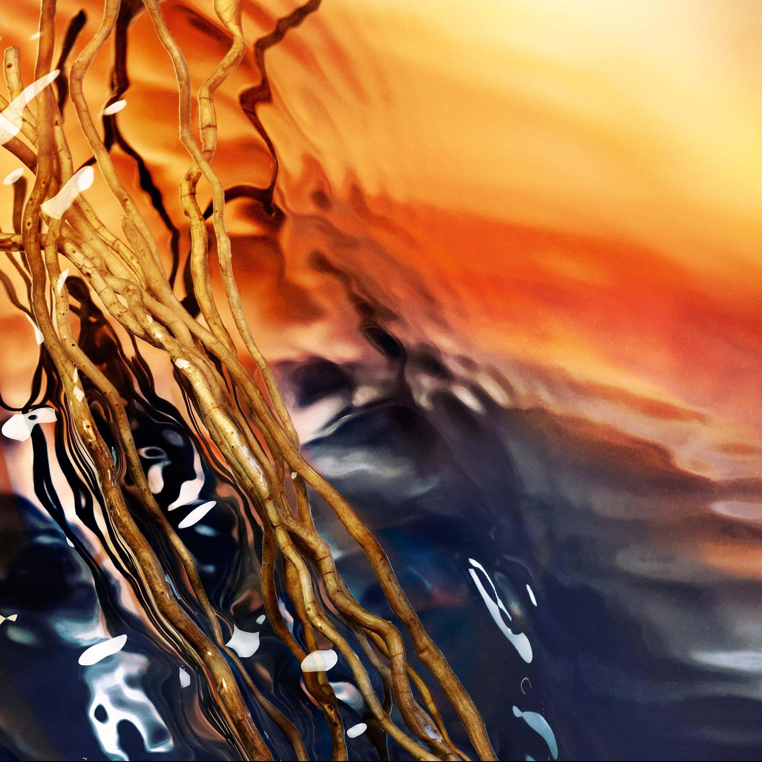 Abstrakte Darstellung von Wasser und Wurzeln. Farbverlauf von Orange nach Blau. Wurzeln im Vordergrund.
