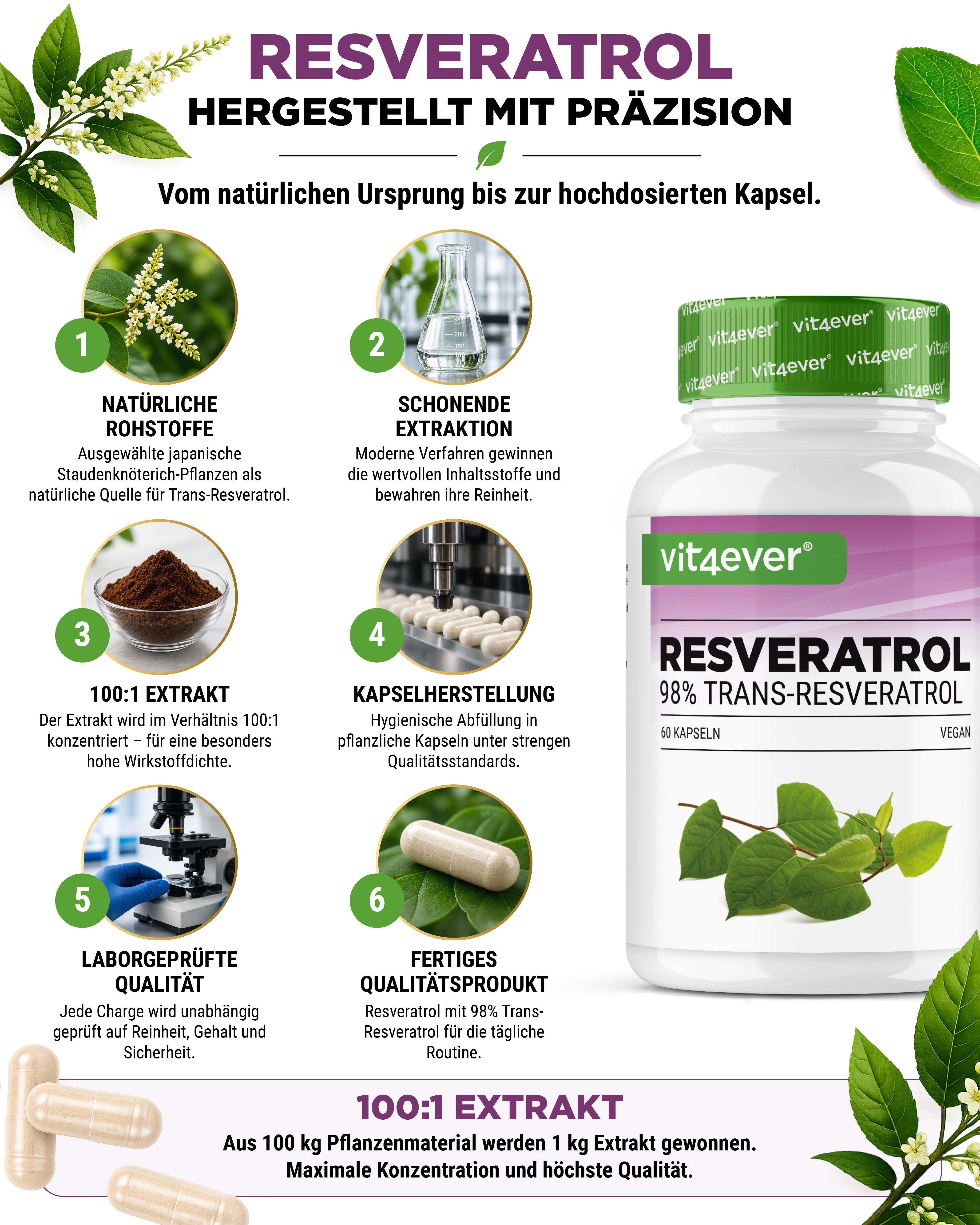 vit4ever Resveratrol