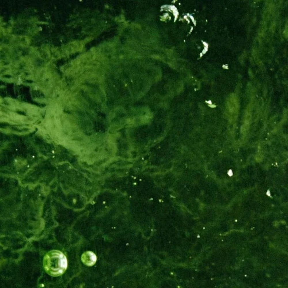 Zero Skin Ceramide Barriere Nachtcreme, regenerierend hydratisierend für normale bis trockene Haut