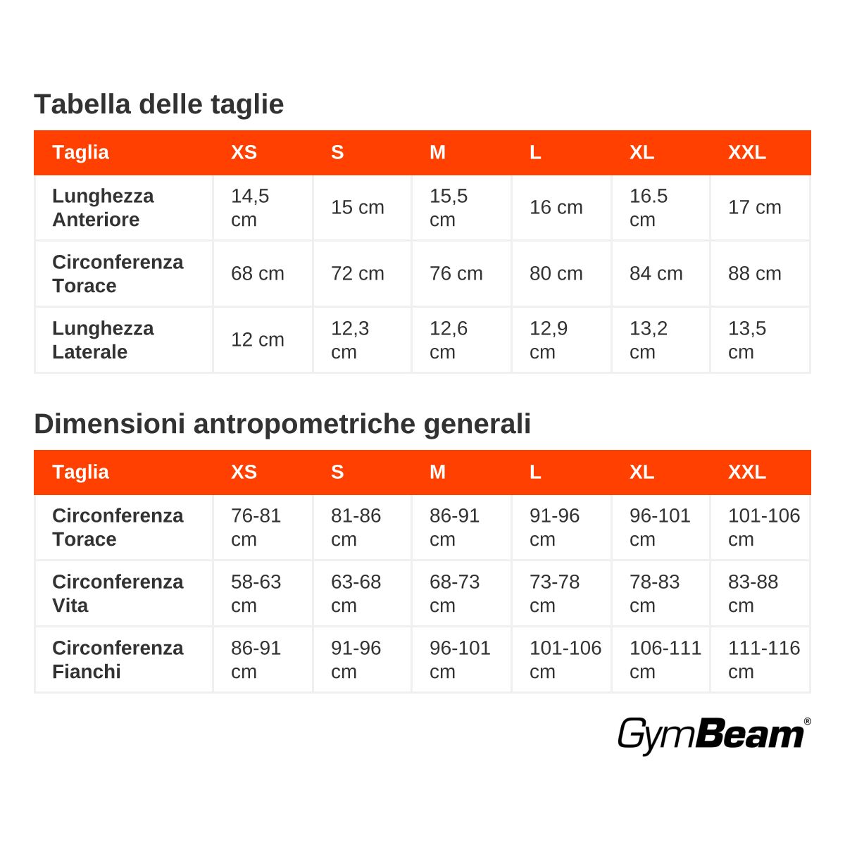 GymBeam Sport-BH Damen mit Front-Reißverschluss und verstellbaren Trägern Modell Pearl
