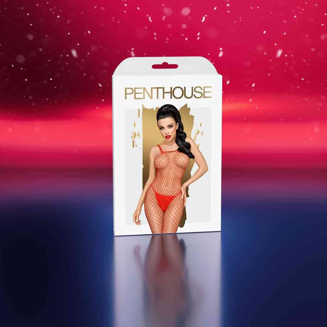 Verpackung mit einem Bild einer Frau in einem Netz-Outfit. Marke: Penthouse.