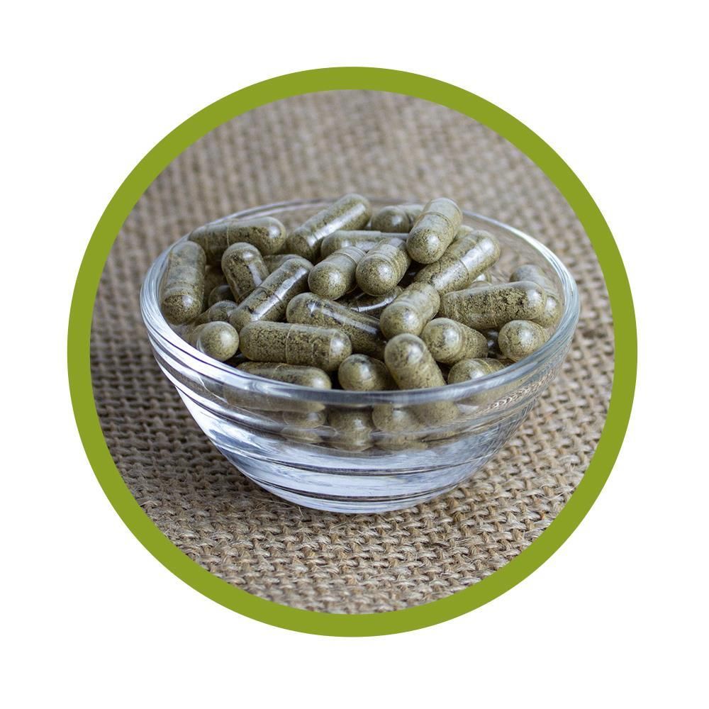 vitalundfitmit100® Bio Kelp Kapseln