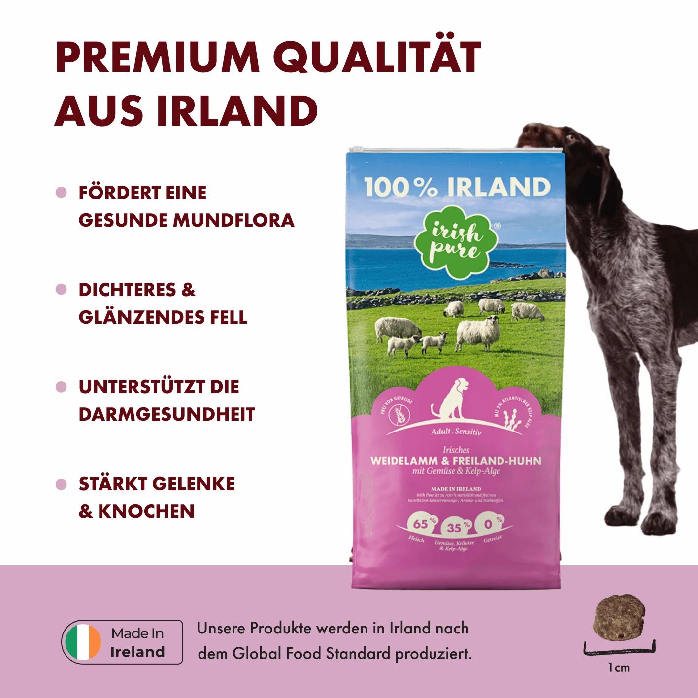 Hundefutter-Beutel mit Lamm und Huhn, 100% Irland, mit Gemüse und Kelp-Alge.