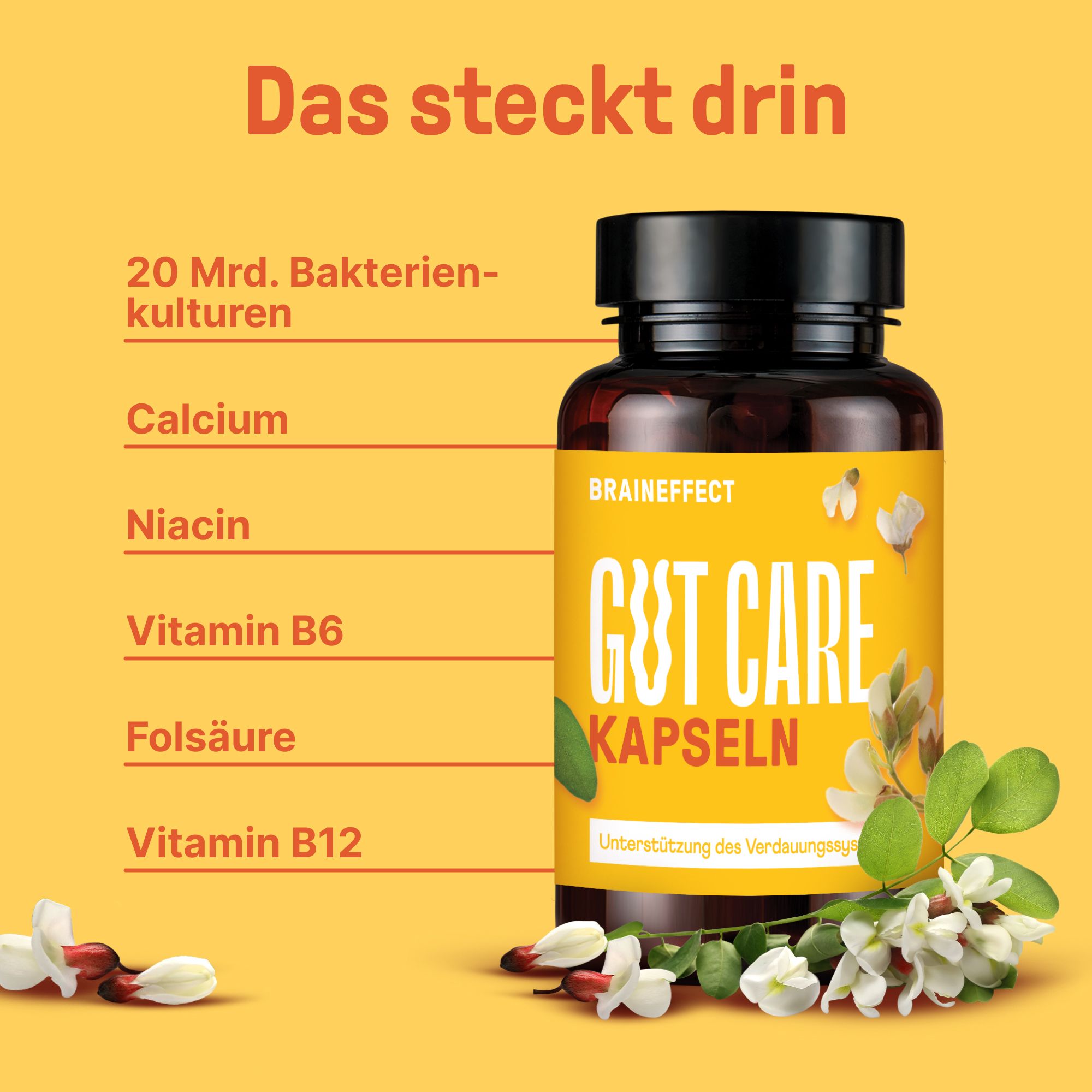 Braune Flasche mit "GUT CARE KAPSELN". Aufschrift: 20 Mrd. Bakterienkulturen, Calcium, Niacin, Vitamin B6, Folsäure, Vitamin B12.