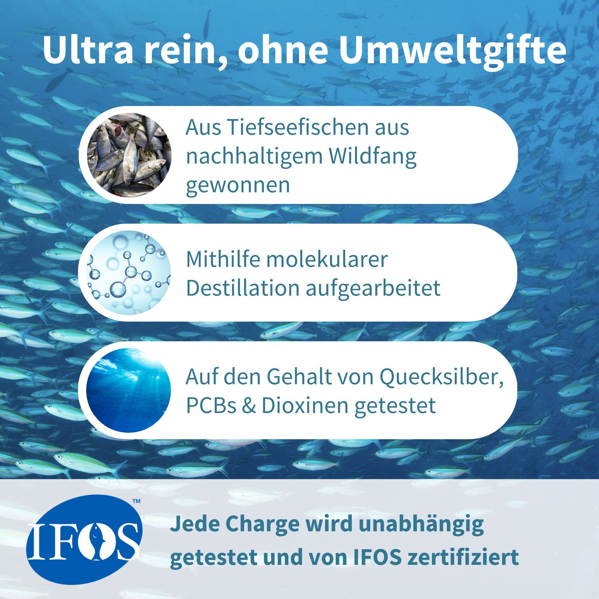 Ultra-reines Fischöl: Aus Tiefseefisch, molekular destilliert, getestet auf Quecksilber, PCB, Dioxine. IFOS-zertifiziert.
