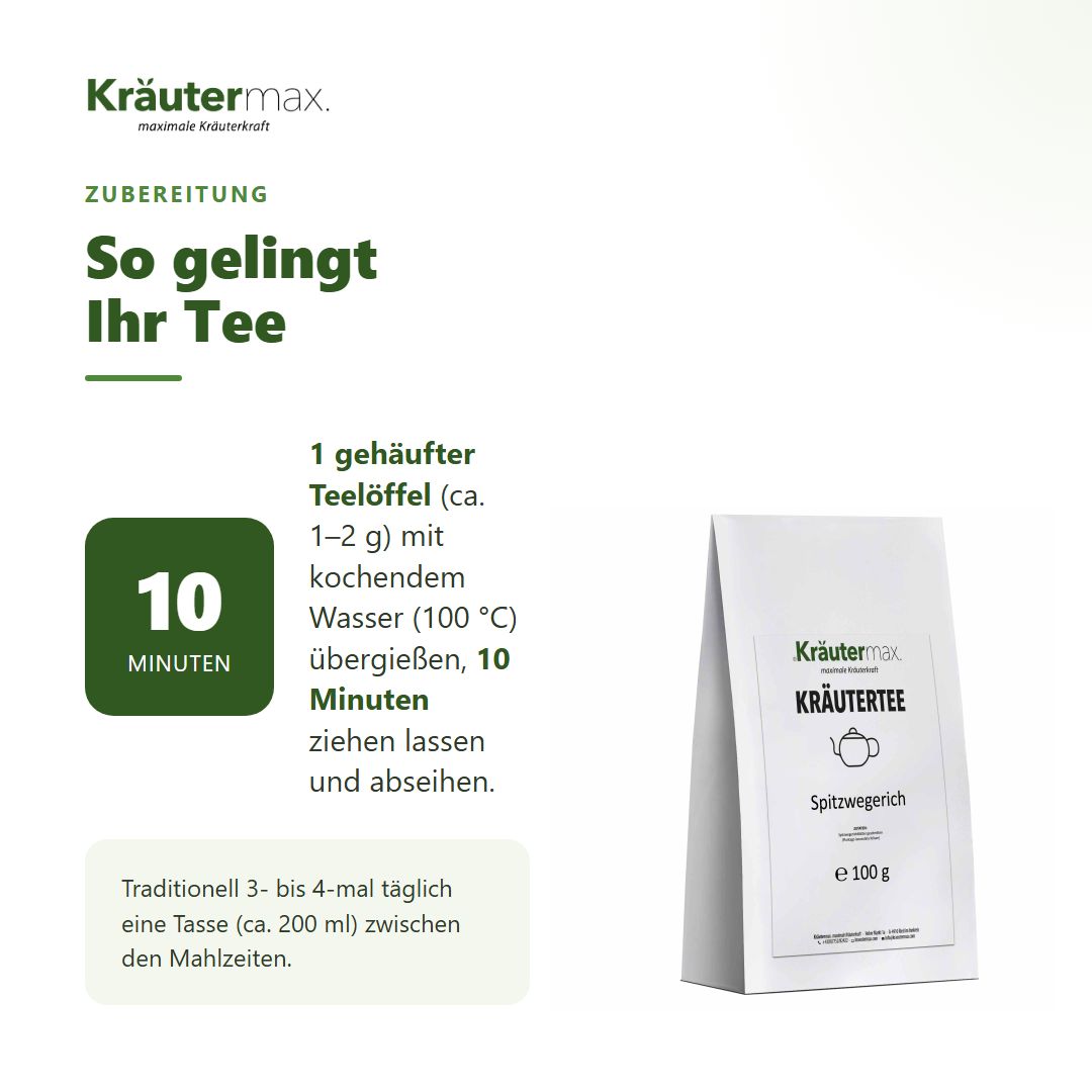 Zubereitung Kräutermax Spitzwegerich Tee: 1 Löffel, 10 Min. ziehen lassen.
