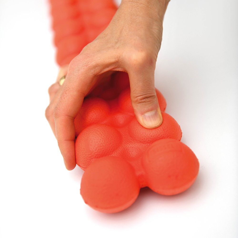 Spinefitter by Sissel Rückentrainer Junior