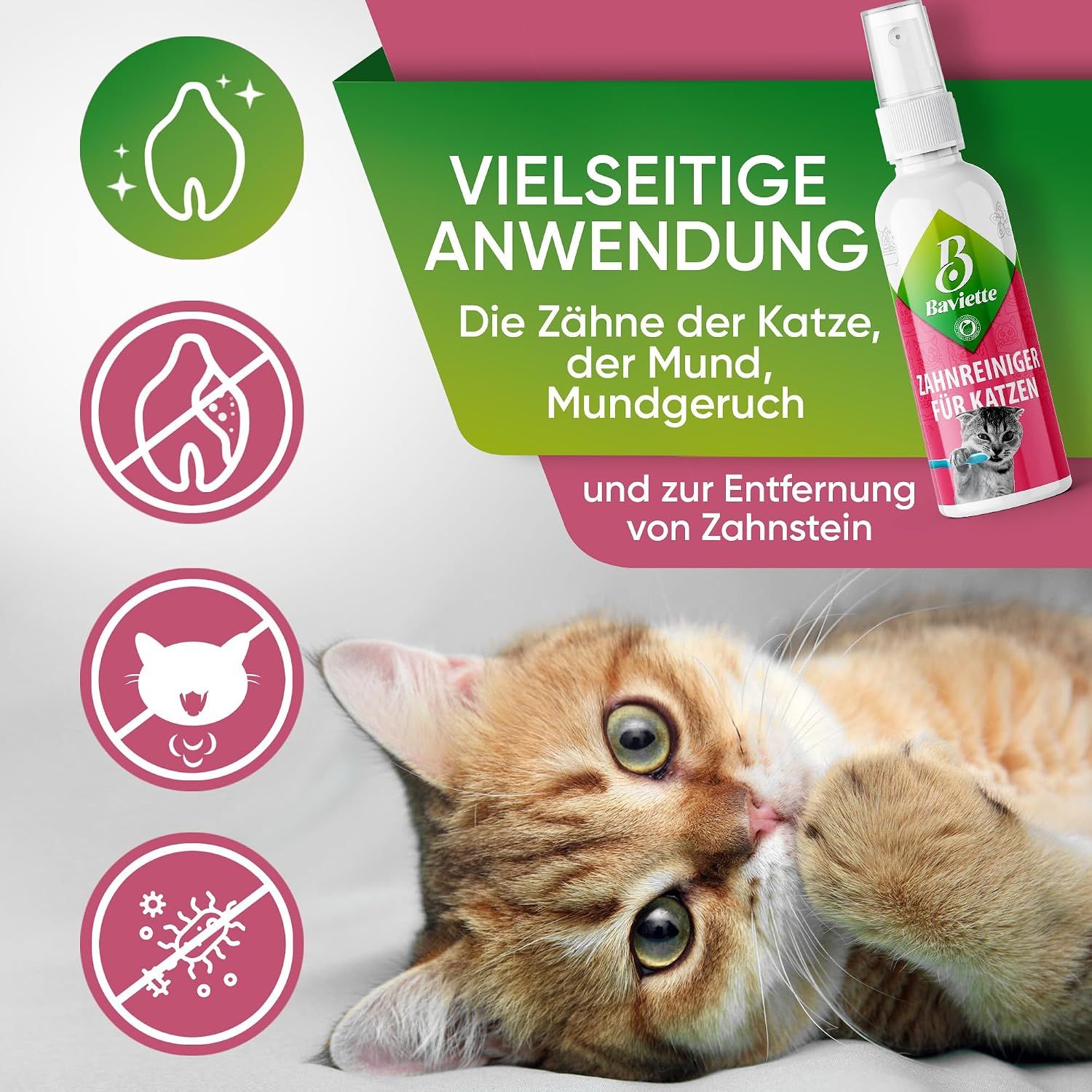 Baviette Zahnreiniger für Katzen