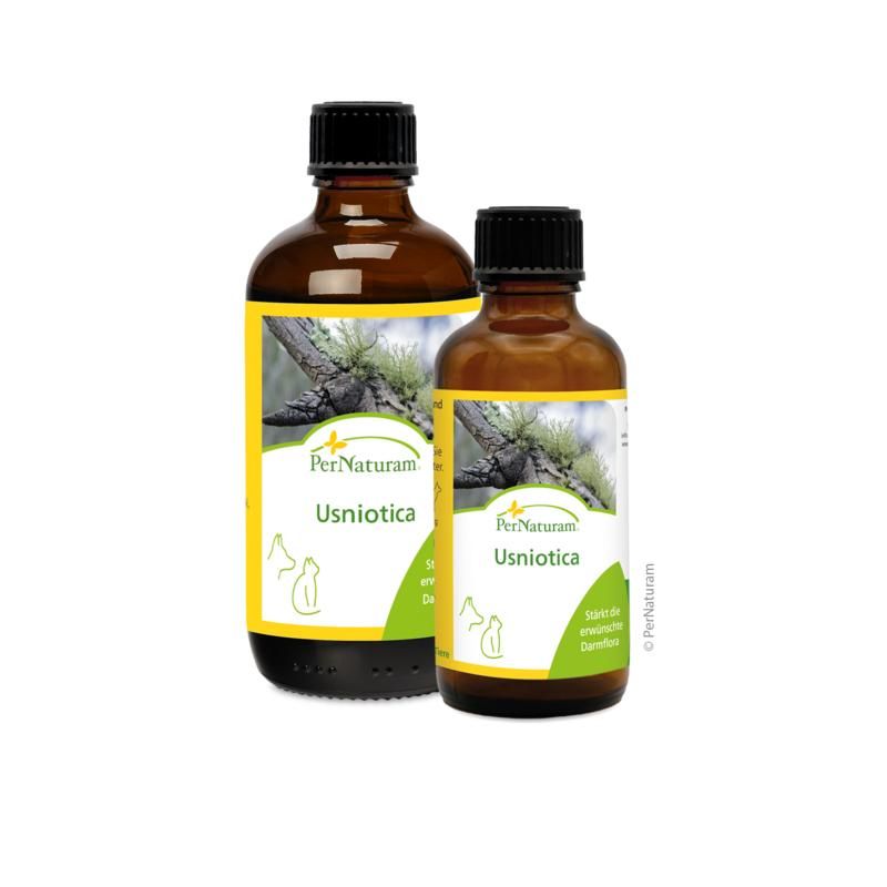 Pernaturam Usniotica
