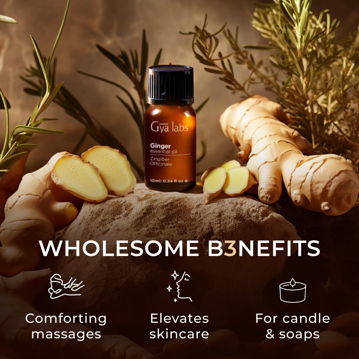 Braune Flasche Gya Labs Ingweröl, Ingwerwurzeln. Text: WHOLESOME BENEFITS. Logos: Massagen, Hautpflege, Kerzen & Seifen.
