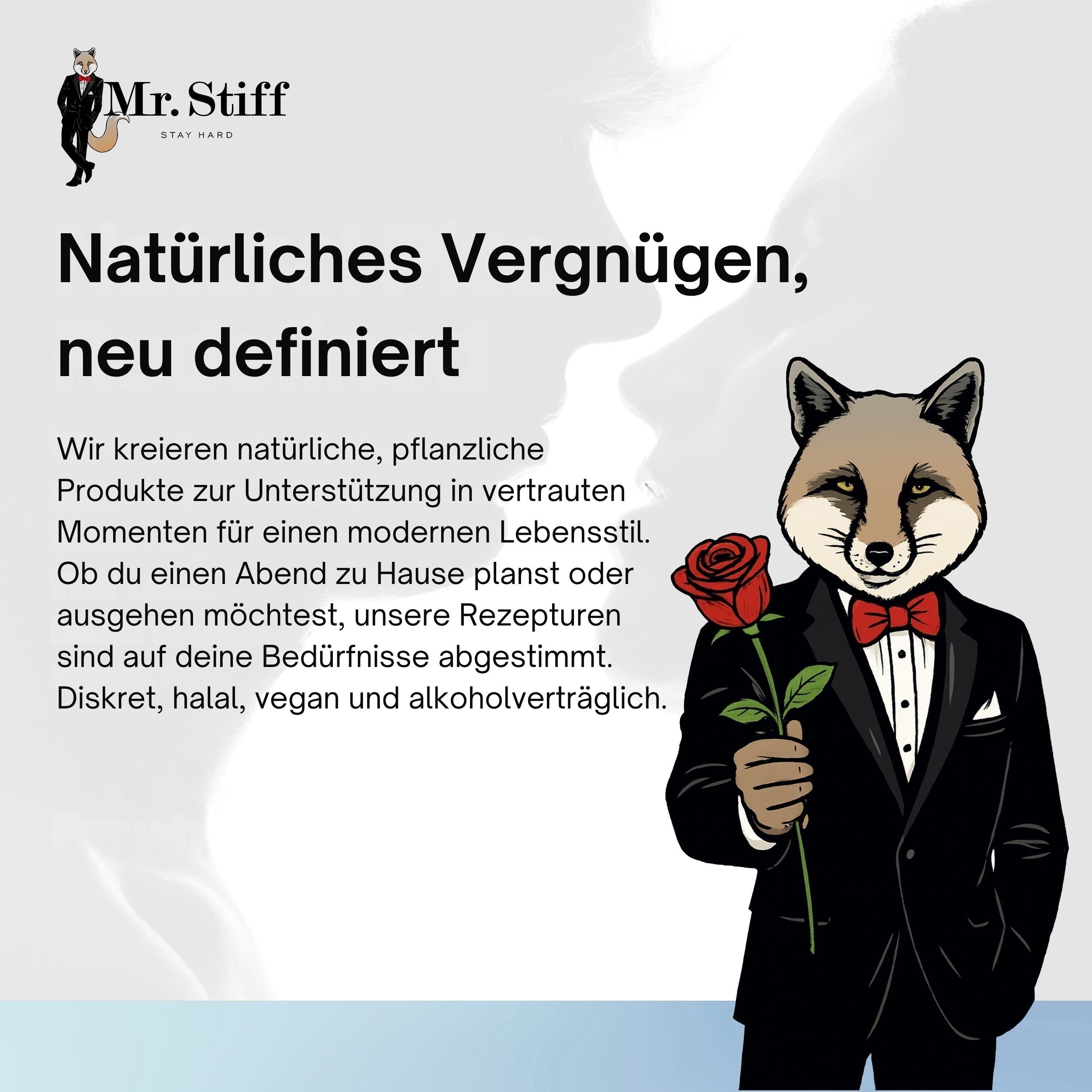 Mr. Stiff Delay Spray for Men