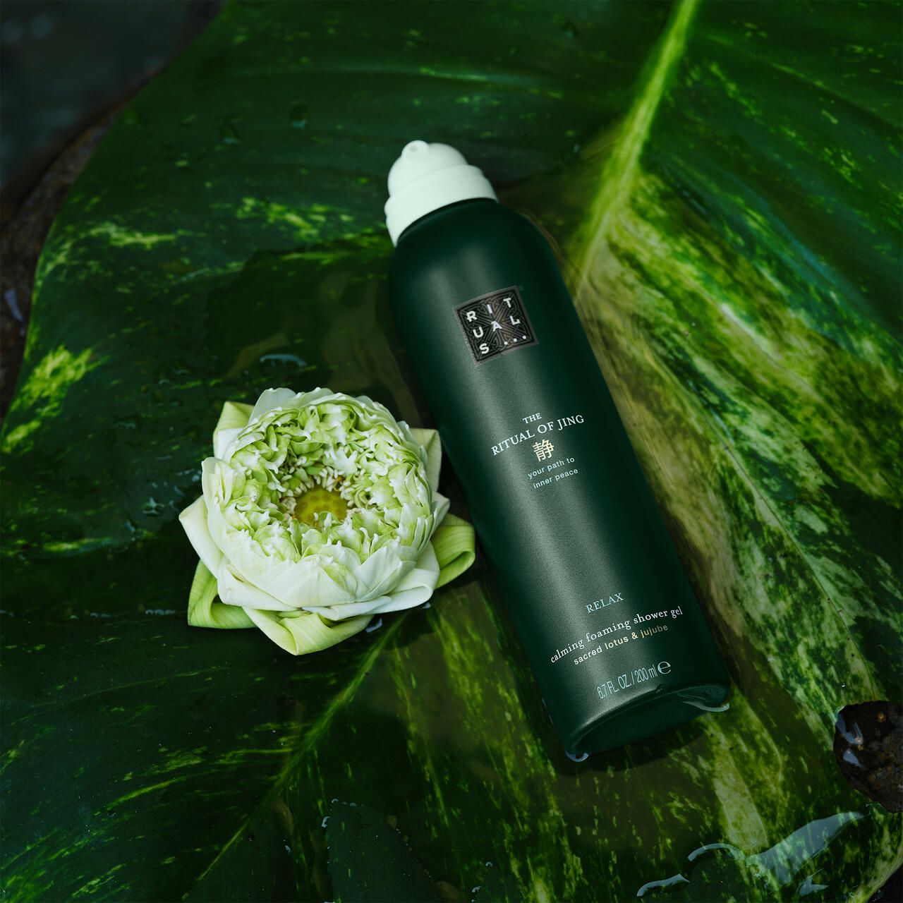 Rituals, The Ritual of Jing Balancing Foaming Shower Gel