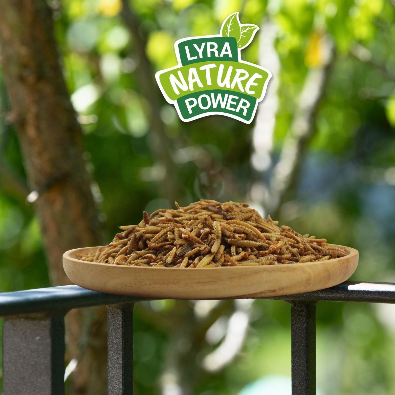 Getrocknete Mehlwürmer auf einem Holzteller, im Freien. "Lyra Nature Power" Logo oben.