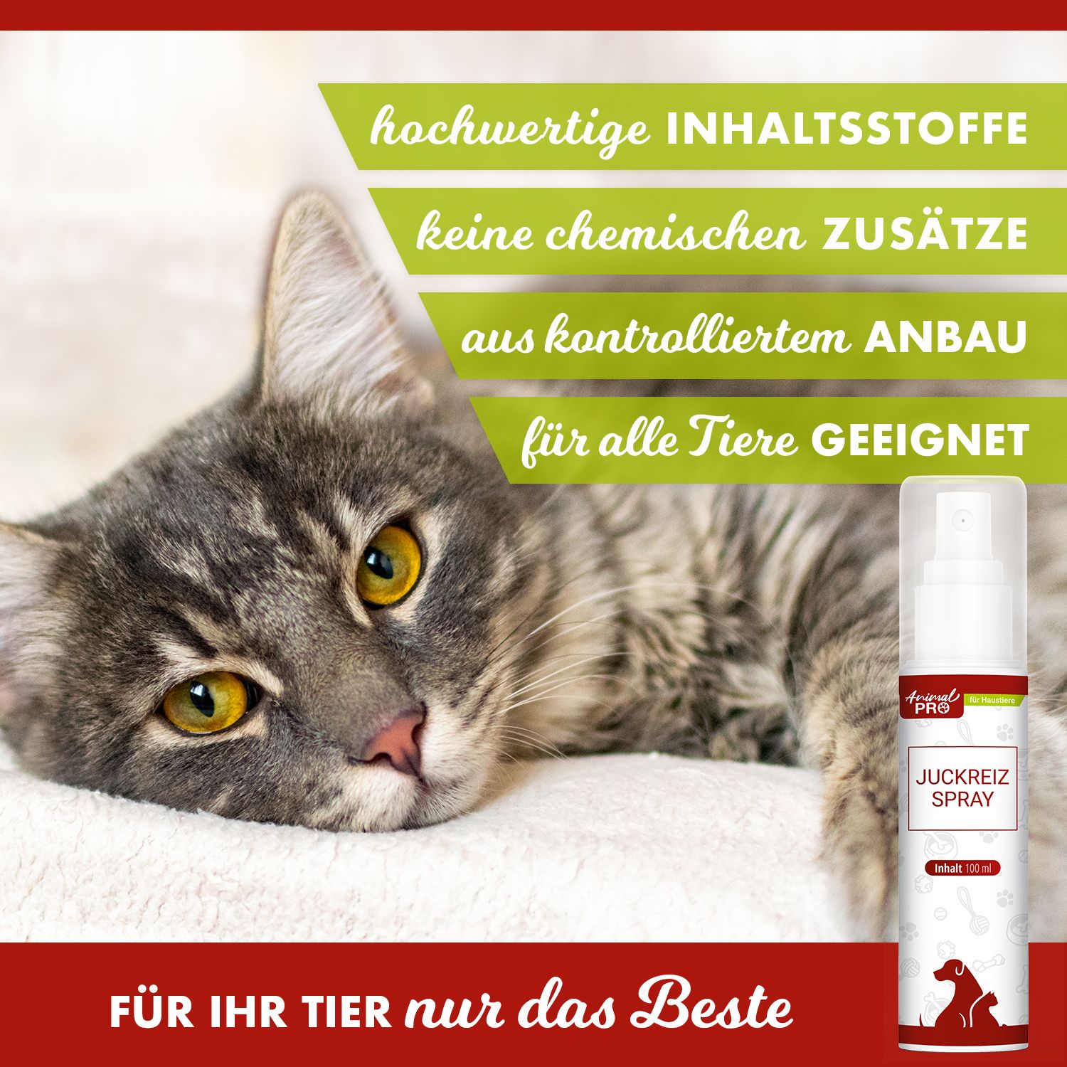 Katze auf Decke mit Sprayflasche. Text: Animal Pro, Juckreiz Spray, für alle Tiere geeignet. Inhalt 100 ml.