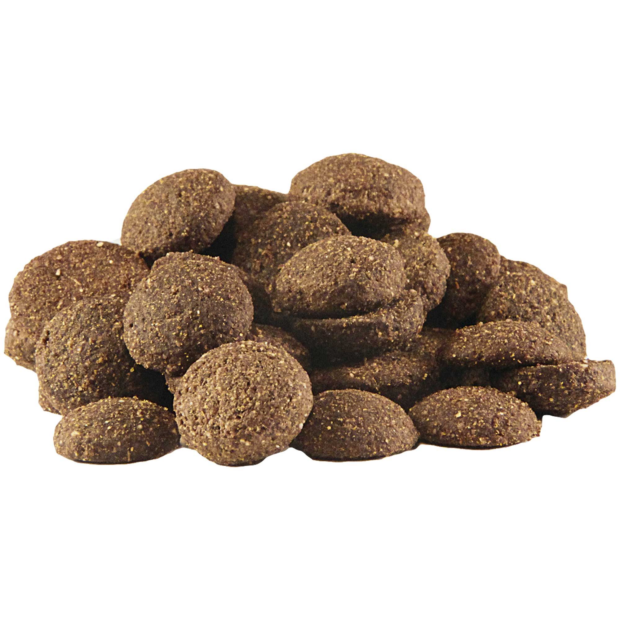 Haufen von runden, braunen Trockenfutter-Kroketten. Oberfläche mit kleinen Punkten. Keine Verpackung sichtbar.