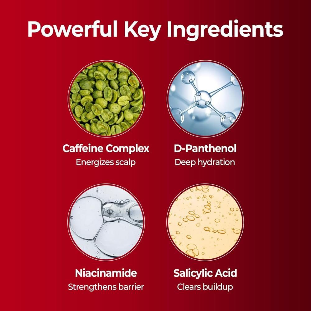 Grafik mit Schlüsselzutaten für KUNDAL Shampoo: Koffeinkomplex, D-Panthenol, Niacinamid, Salicylsäure.