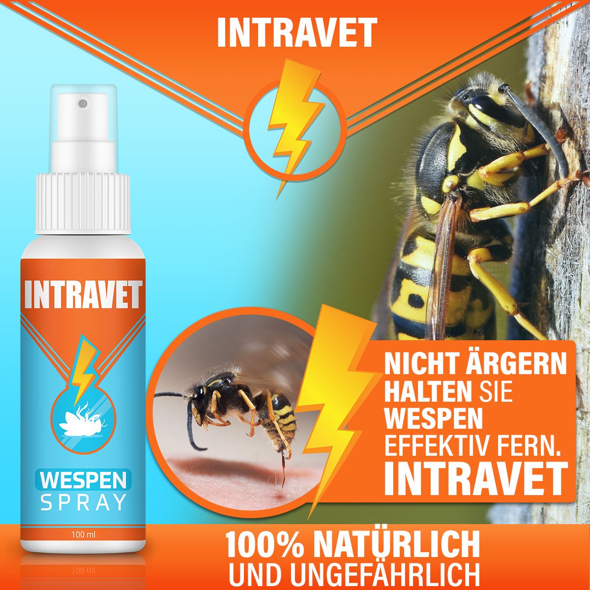 Intravet® | Wespen Spray | Wespenabwehr