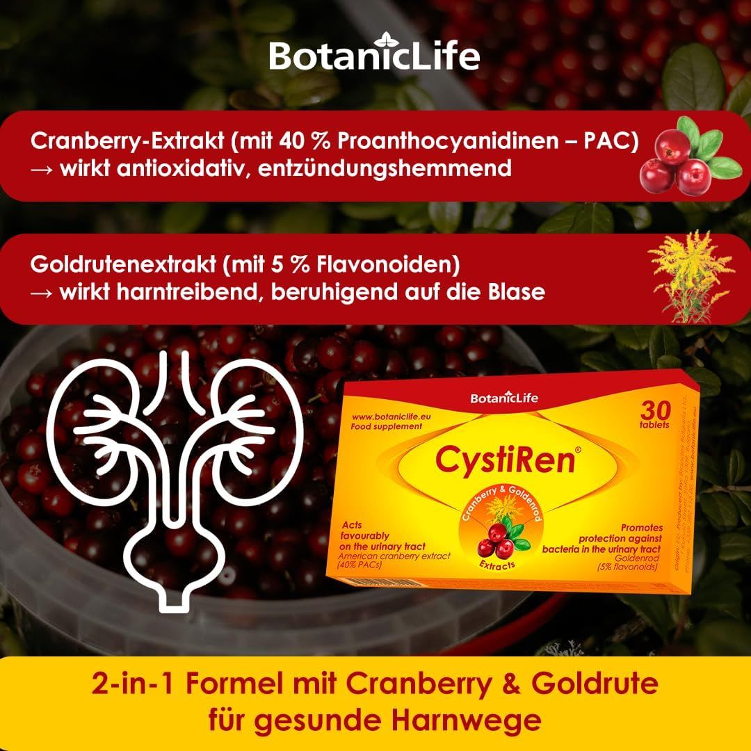 Produktabbildung mit Cranberrys und Goldrute. "CystiRen"-Packung mit 30 Tabletten. Informationen zu Inhaltsstoffen und Wirkung.