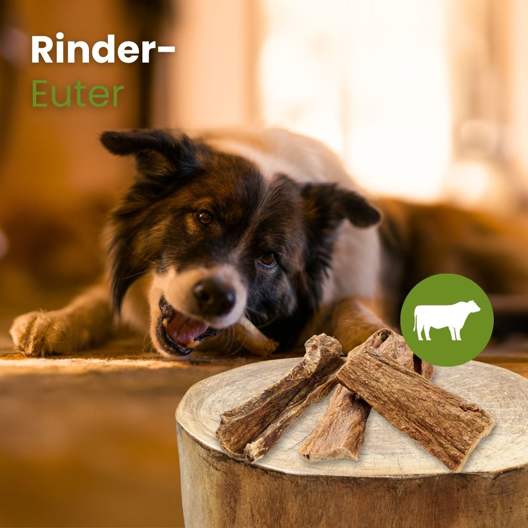Ein Hund kaut auf getrockneten Rinder-Euter-Streifen, die auf einem Holzstamm liegen.