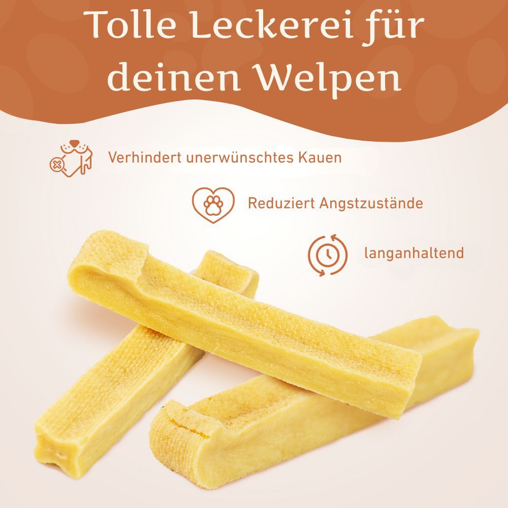 WILDFANG® Kaustab aus Hartkäse - Kaukäse - Hundeknochen Käse
