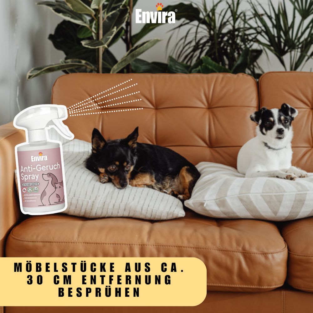 Produkt auf Couch. Text: Möbelstücke aus ca. 30 cm Entfernung besprühen. Hunde liegen auf Kissen. Envira Spray.