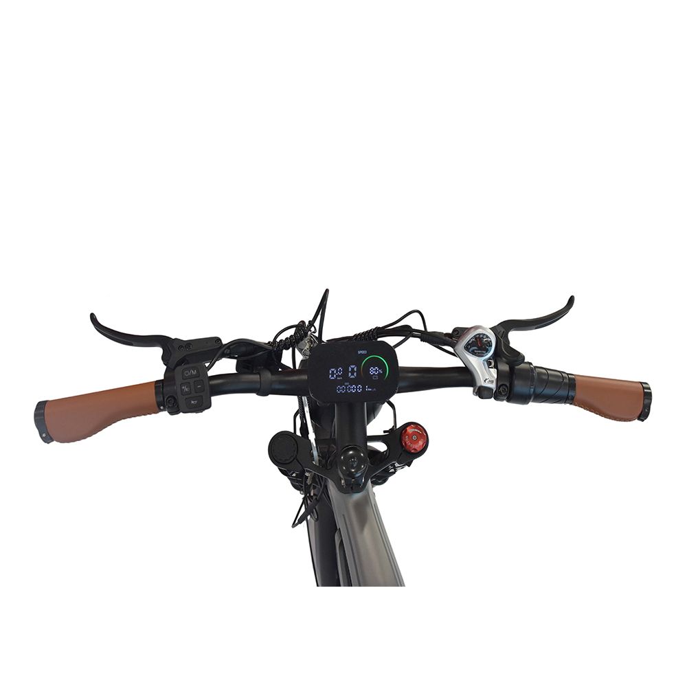 Lenker einer grauen Elektrodirtbike. Braune Griffe, schwarze Bedienelemente und ein Display. Auf weißem Hintergrund.