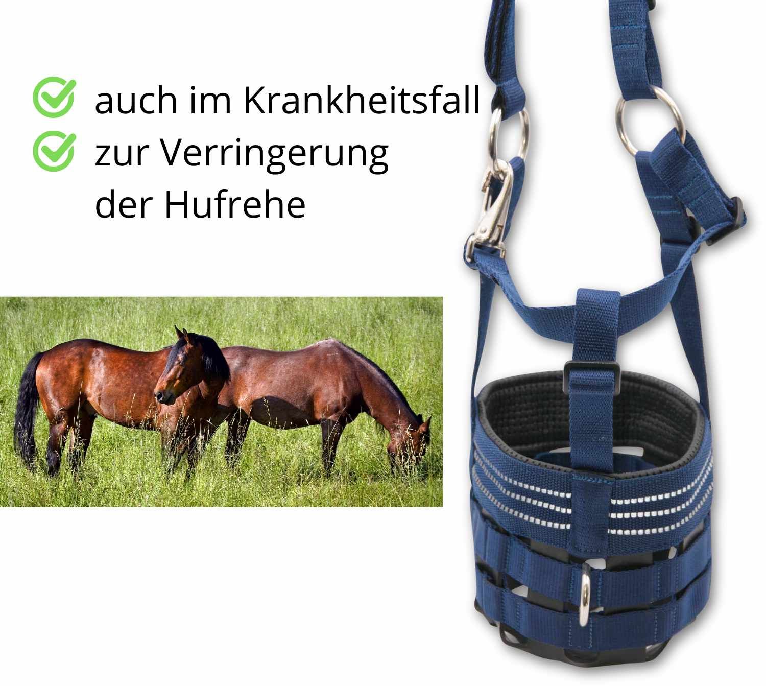 Blauer Maulkorb mit Metallringen und Riemen. Schwarzer Korbteil mit Öffnungen. Reflektierende Streifen. Text: Reduzierung der Hufrehe.
