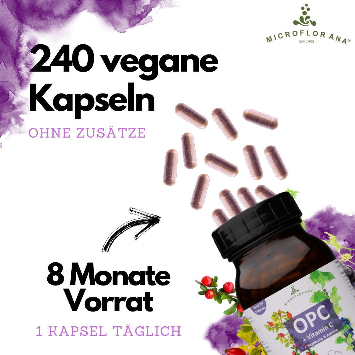 Kapseln fliegen aus einer Flasche. Text: 240 vegane Kapseln, 8 Monate Vorrat, 1 Kapsel täglich. Logo: MICROFLORANA®.