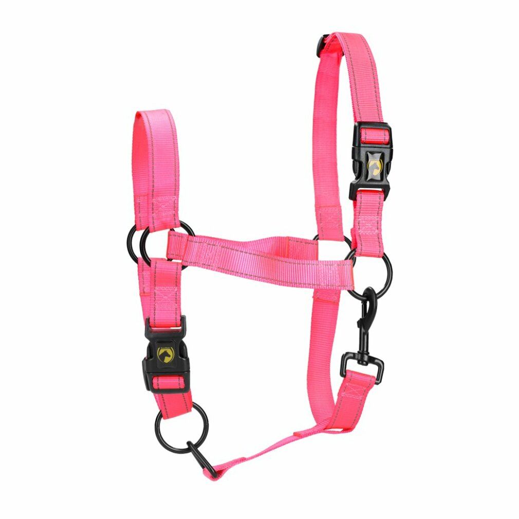 Cavallo eccellente Premium Halter xl Full Pink